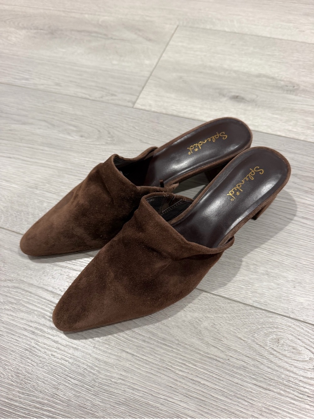 Splendid Lorelei Suede Mule Brown Pointed-Toe Mules
